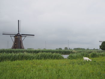 Traditional windmill on field against sky