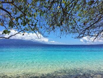 Scenic view of sea against blue sky