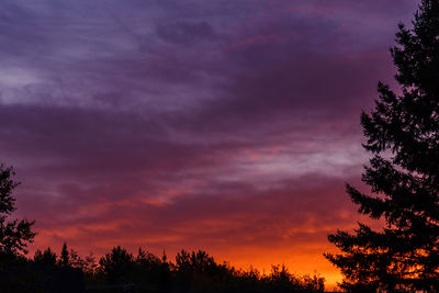 Low angle view of silhouette trees against dramatic sky