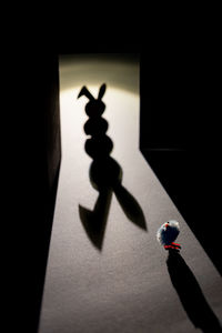 Shadow of person on glass window
