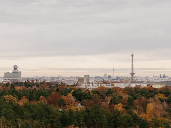 Trees and buildings against sky