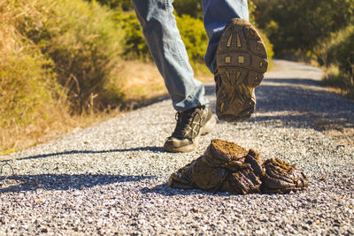 Cow dung on road while a man passing over it