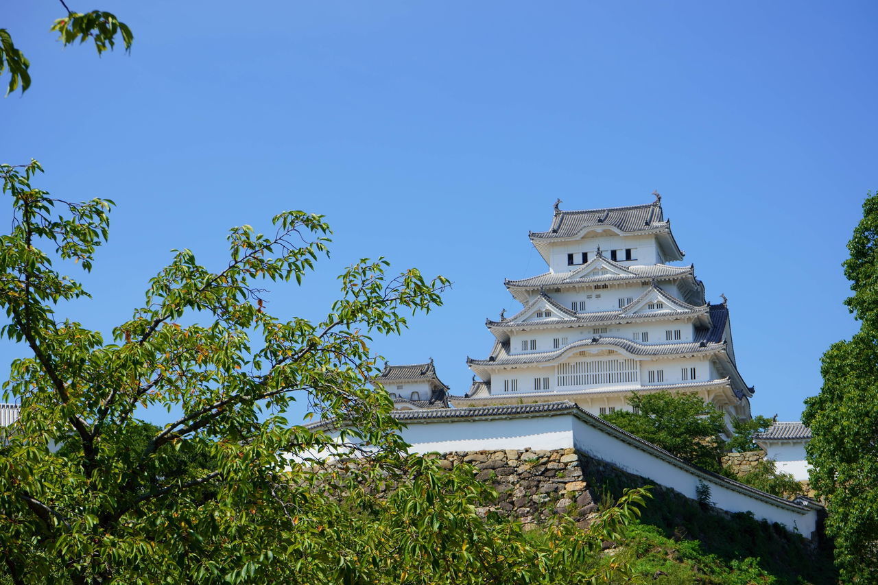 LOW ANGLE VIEW OF TREES AND BUILDING AGAINST BLUE SKY