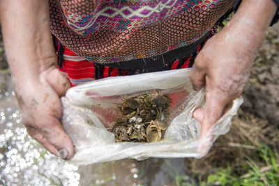 Midsection of man holding mussels while standing on field