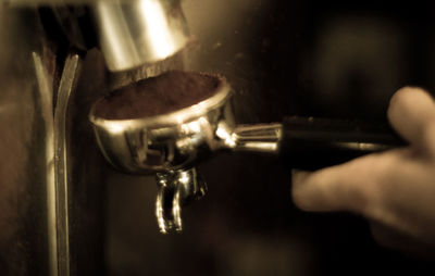 Close-up of plant against blurred background