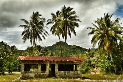 Palm trees against cloudy sky