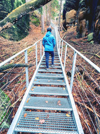 Rear view of man walking on footbridge in forest