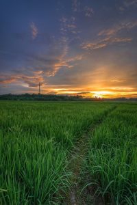 Scenic view of field against sky during sunset