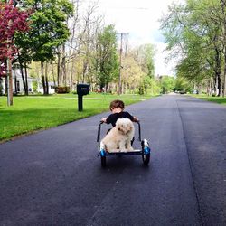 Rear view of woman with dog walking on road