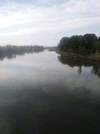 Reflection of trees in calm lake