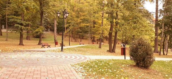 Footpath amidst trees in park during autumn
