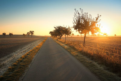 Road amidst trees on field against clear sky during sunset