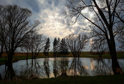 Reflection of bare trees in lake against sky