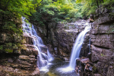 Scenic view of waterfall in forest