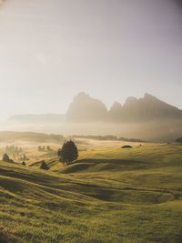 Scenic view of landscape against sky