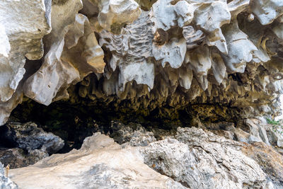 Close-up of rock formation in water