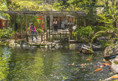 Group of people swimming in pond