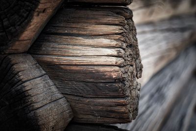 Close-up of wooden wood