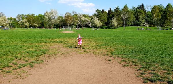 Scenic view of trees on field against sky