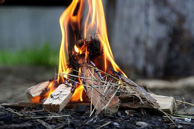 Close-up of bonfire on field