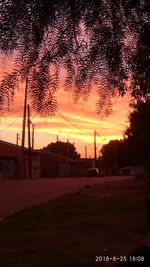 Silhouette trees on field against sky during sunset