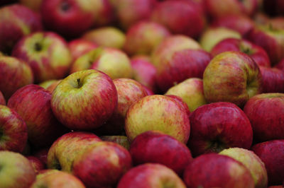 Fresh apples, sweet and healthy fruits, part of a balanced nutrition