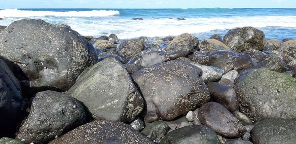 Scenic view of sea shore