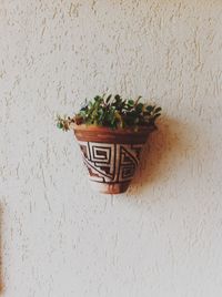 Close-up of potted plant in basket against wall