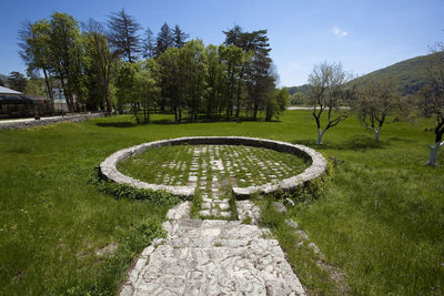 View of park on sunny day