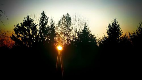 Silhouette trees against sky during sunset