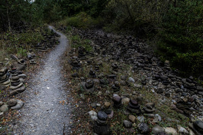 Water flowing through rocks in forest