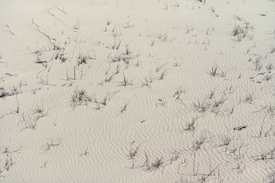 Full frame shot of beach