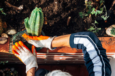 Low section of man holding plants