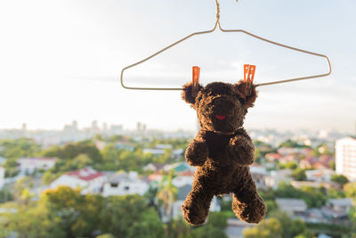 Close-up of stuffed toy hanging on coathanger against sky