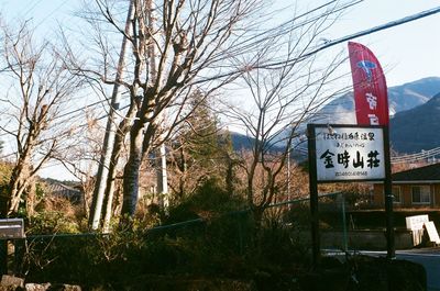 Road sign by bare trees against clear sky