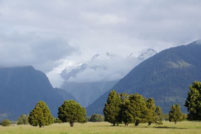 Panoramic view of trees on landscape against sky