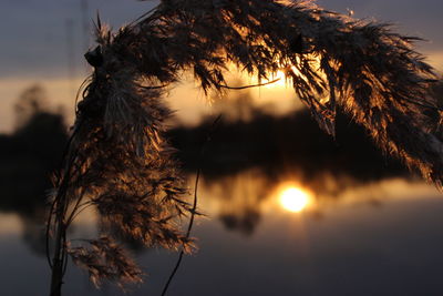 Scenic view of sky at sunset