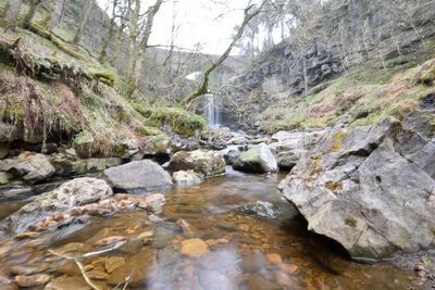 Scenic view of waterfall