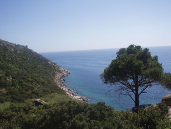 Scenic view of sea against clear sky