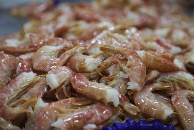 Full frame shot of food