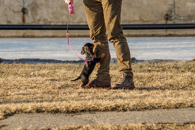 Low section of a man with a puppy