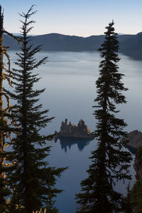 Scenic view of lake by trees against sky