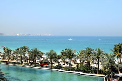 Palm trees growing by beach against sky