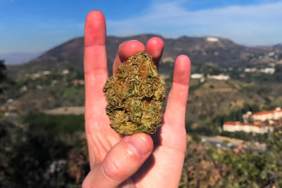 Close-up of hand holding leaf against mountain