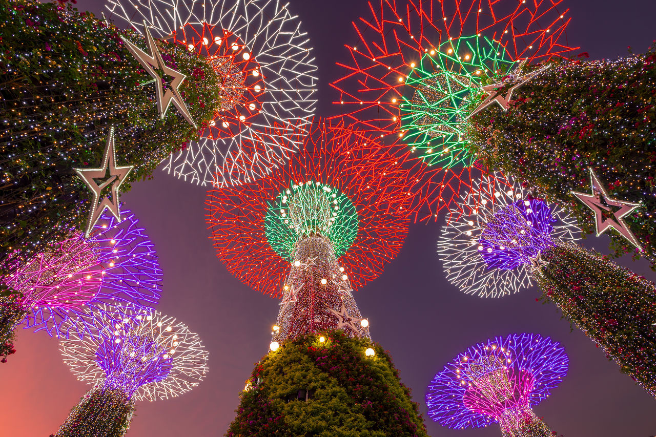 LOW ANGLE VIEW OF ILLUMINATED CHRISTMAS TREE