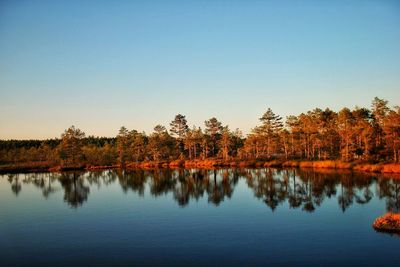 Reflection of trees in lake against clear sky