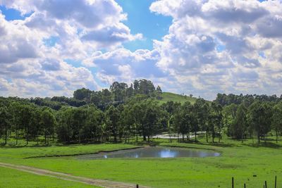 Scenic view of trees by lake against sky