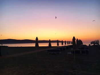 Silhouette birds flying over beach against sky during sunset