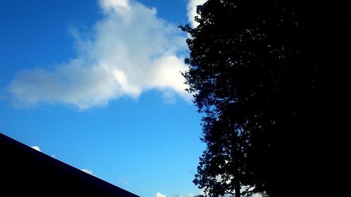 Low angle view of trees against blue sky