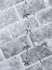 High angle view of a snow